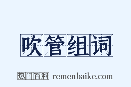 吹管组词是什么意思的图片